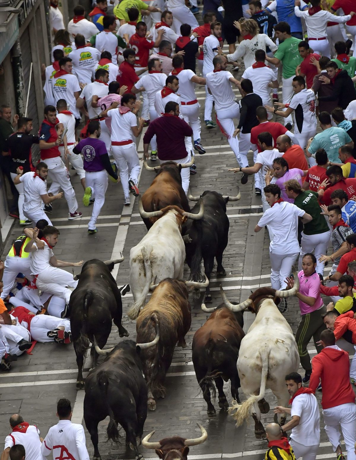 Beh s býkmi, Pamplona