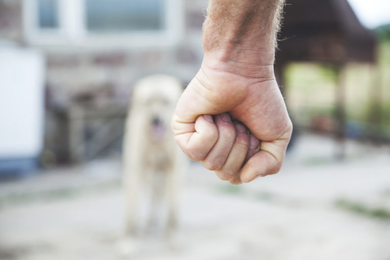 Man beat  dog