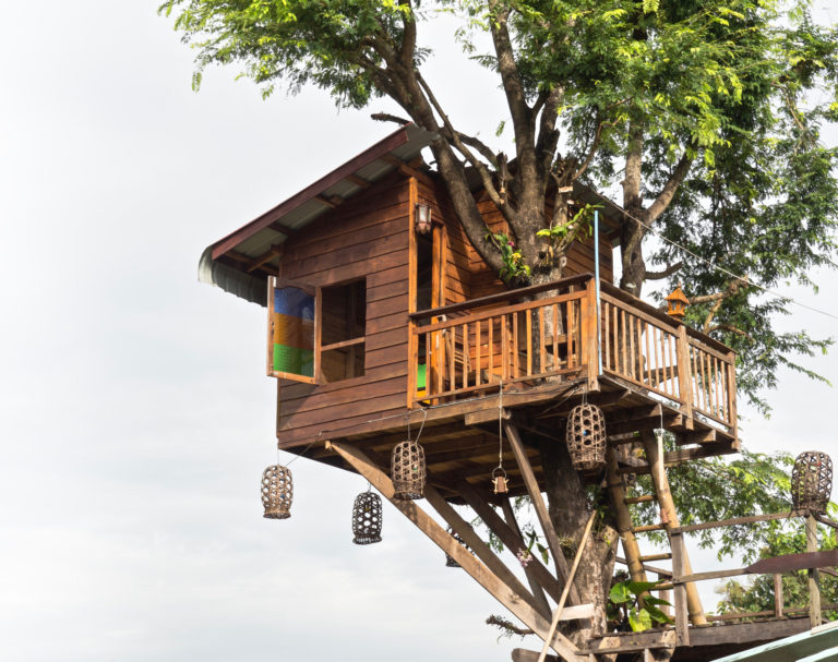 Little Tree House In Northern Thailand