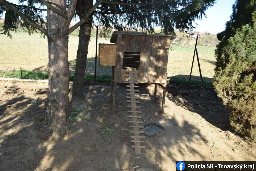 Krádež