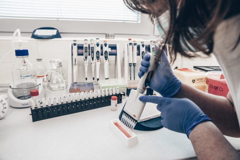 Am_ts_elisa040.jpg