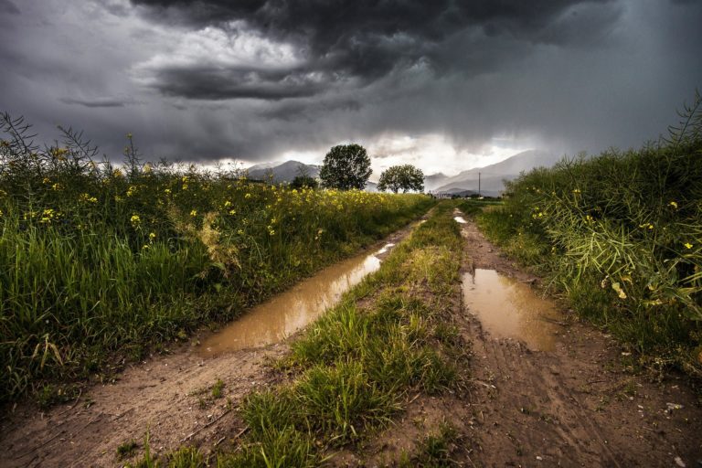 Country road 407207_1920.jpg