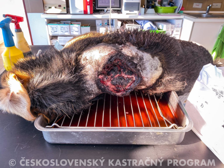 Foto cskp_huncovce.jpg