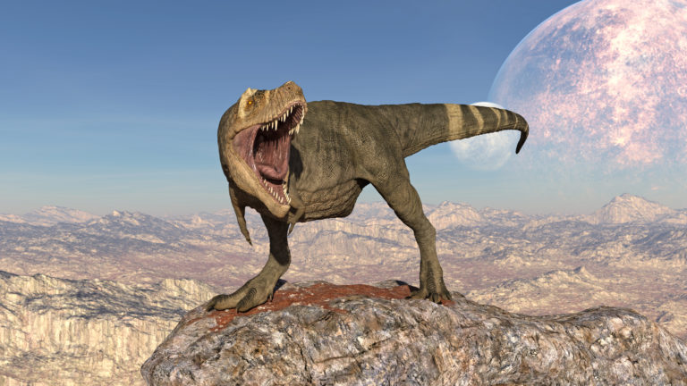 T Rex Dinosaur, Tyrannosaurus Rex reptile walking on rock, prehistoric Jurassic animal in deserted nature environment, 3D illustration