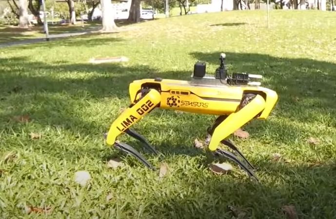 Roboticky pes