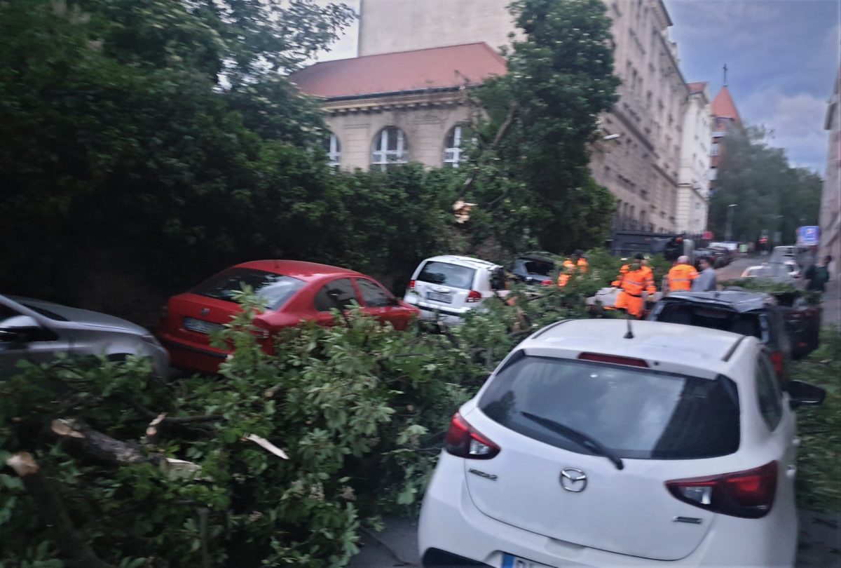 V Starom Meste spadol strom a poškodil štyri autá