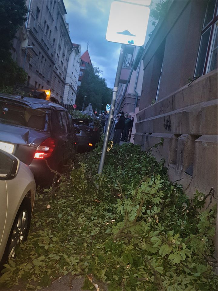 V Starom Meste spadol strom a poškodil štyri autá