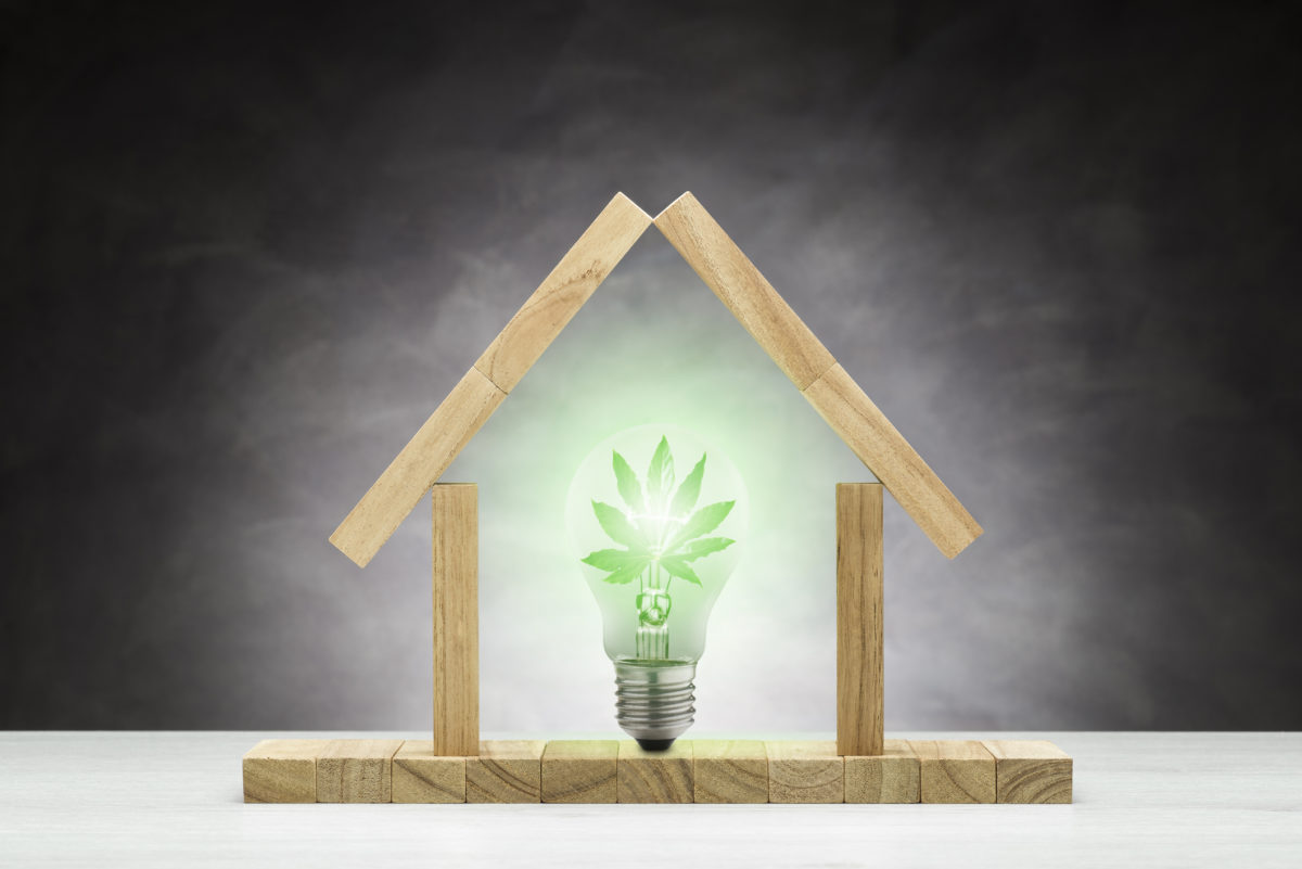Concept of green house