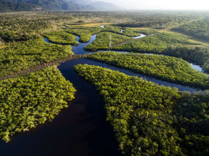 Aerial View of a Rainforest in Brazil