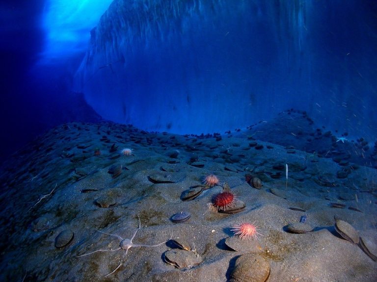 Ice wall 844946_1280.jpg