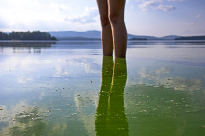Sinice, jazero, kúpanie