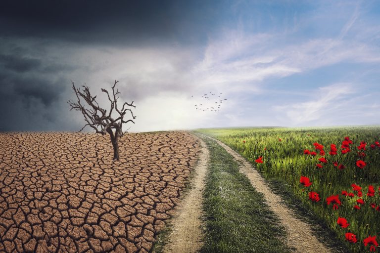 Landscape 4684217_1920.jpg