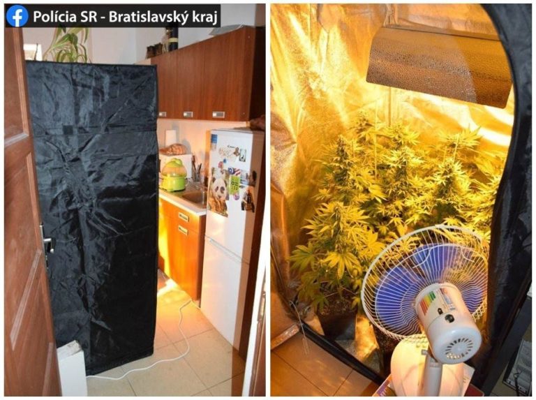 Drogy, domová prehliadka