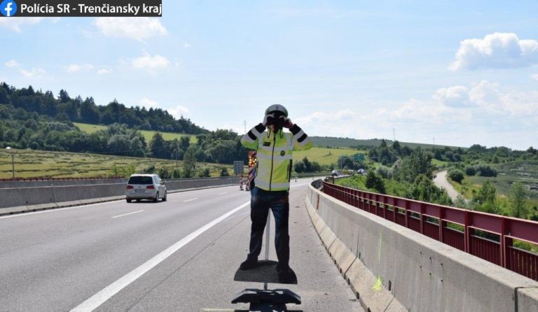Krádež, maketa policajta