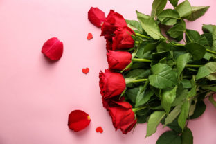 Beautiful roses on color background. Valentines Day celebration