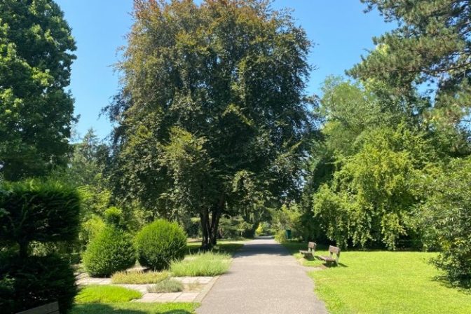Botanicka zahrada park bratislava karlova ves.jpg