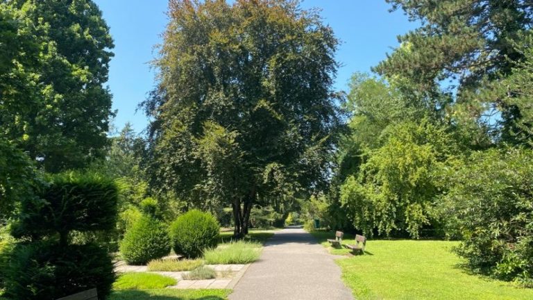 Botanicka zahrada park bratislava karlova ves.jpg