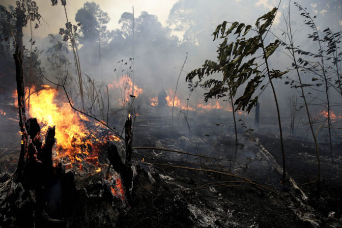 Brazil Amazon Fires