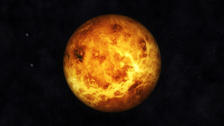 Venuša