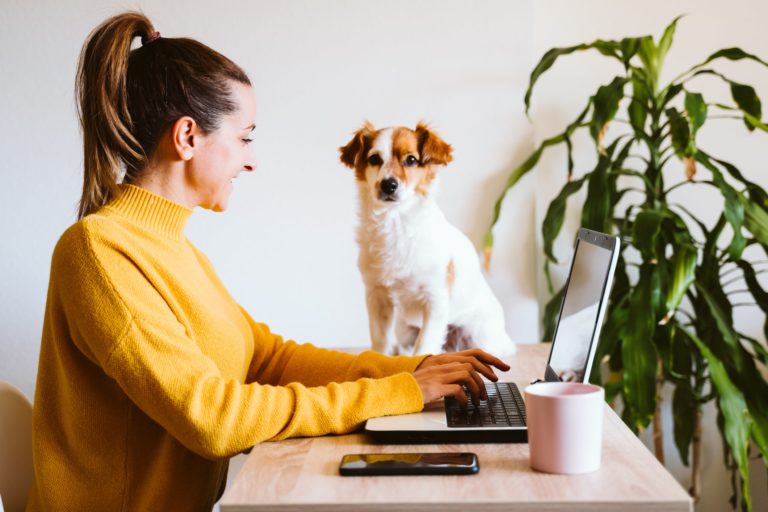 Home office, práca z domu
