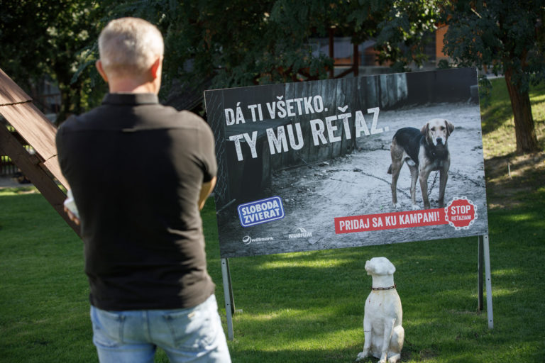 SLOBODA ZVIERAT: Zákaz reťazí ide do parlamentu