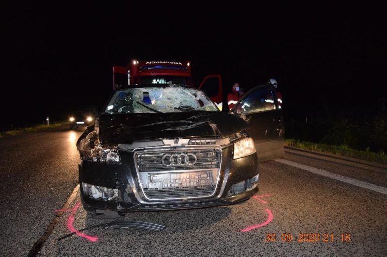 Dopravná nehoda, zrážka auta s jeleňom