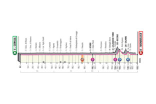 Giro d'Italia 2020 - 13. etapa (Cervia - Monselice), profil