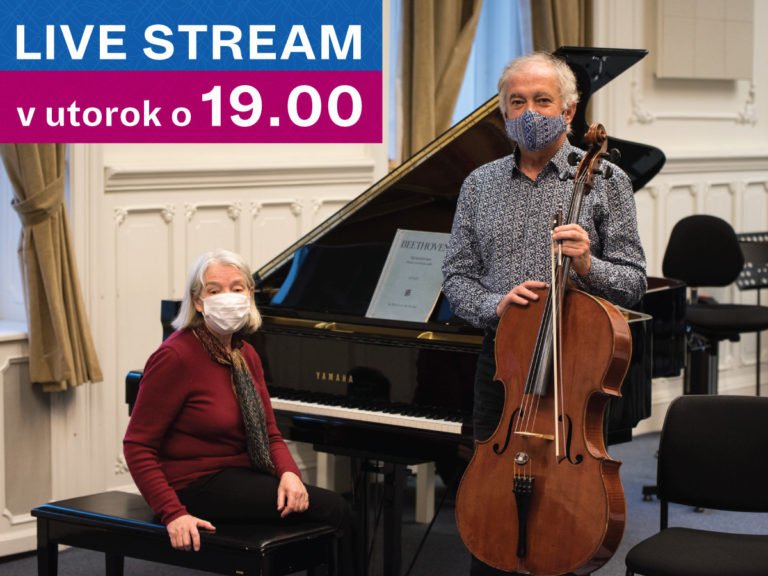 20201110 live stream.jpg