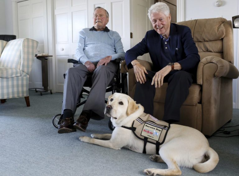 George H.W. Bush, Bill Clinton