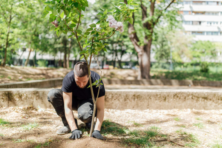 Earth Day, planting the trees
