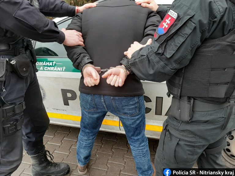 Polícia, putá, zatknutie
