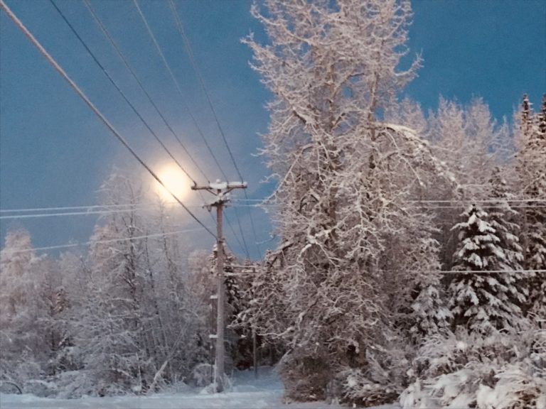 Alaska weird climate