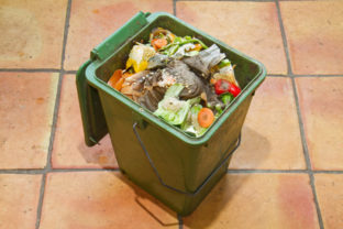 Kuchynsky odpad, bioodpad