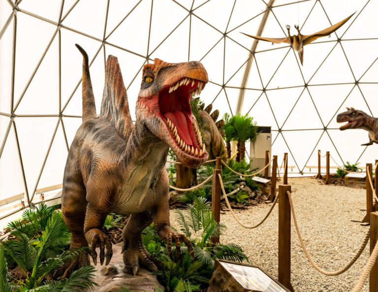Dinopark, dinosaurus
