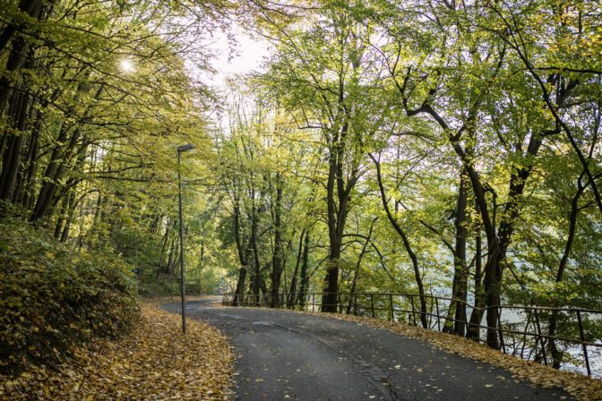 Železná studnička, les