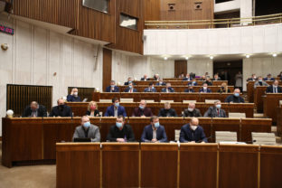 Parlament, schôdza