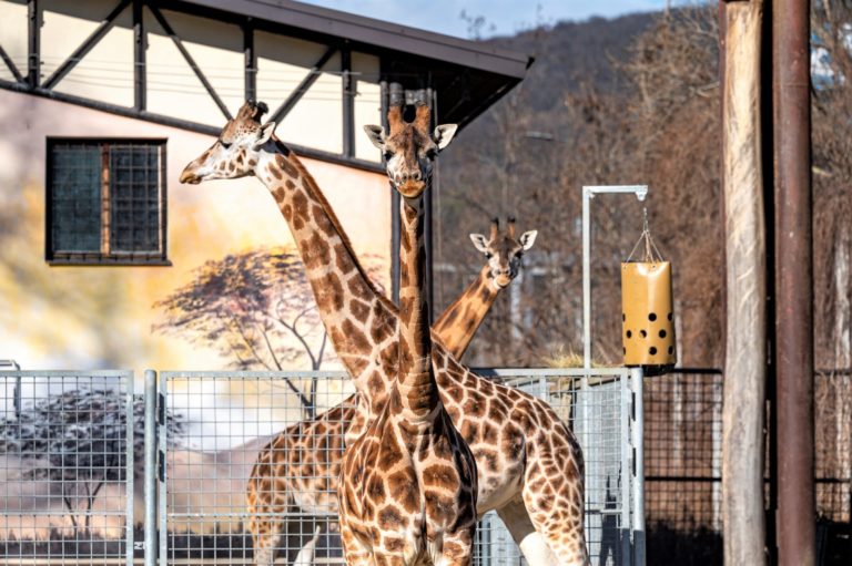 ZOO Bratislava