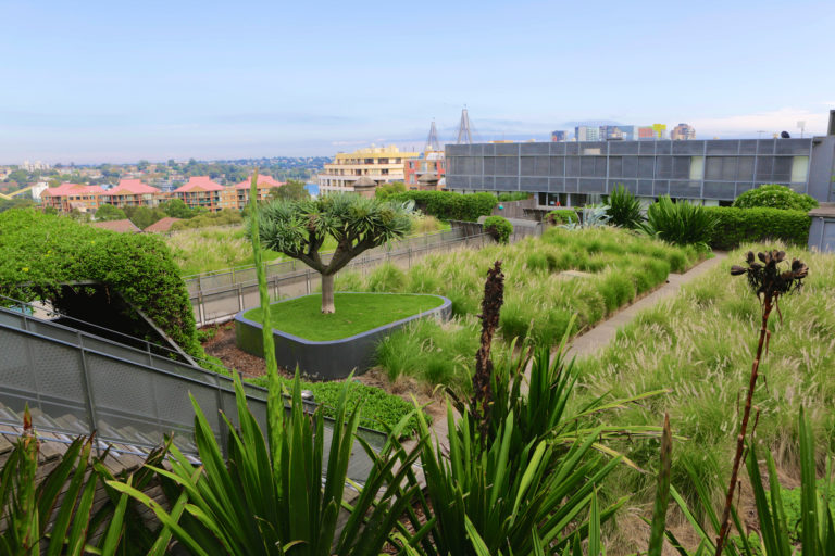 Green Roof