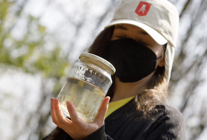 BRATISLAVA: Monitoring komárov v aktuálnej sezóne