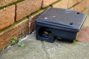 A black plastic rat trap. Pest control concept image.