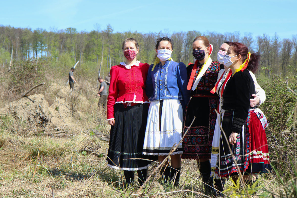PREZIDENTKA: Sadila mladé stromčeky nad Limbachom