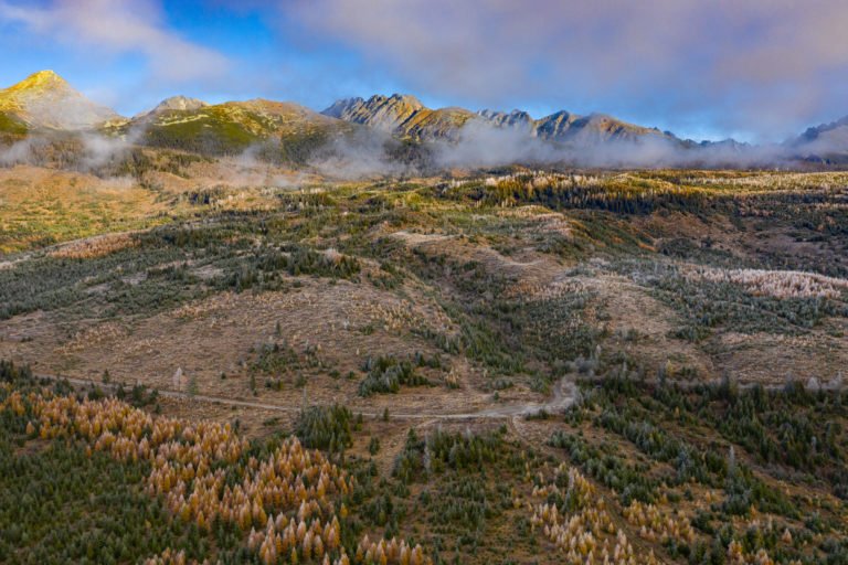 Tatry_lesy_nov2020_fullres_003.jpg