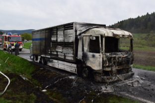 Požiar nákladného auta prevážajúceho dobytok