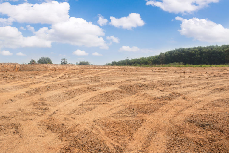 Empty dry cracked swamp reclamation soil,