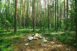 Garbage dump in the woods