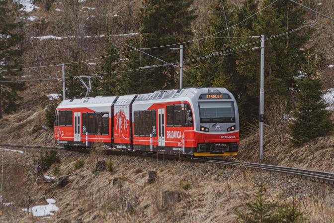 Elektrozubacka bradavica.jpg