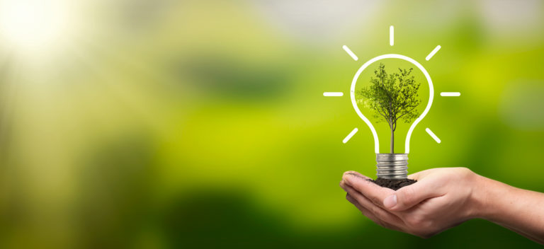 Ecological friendly and sustainable environment