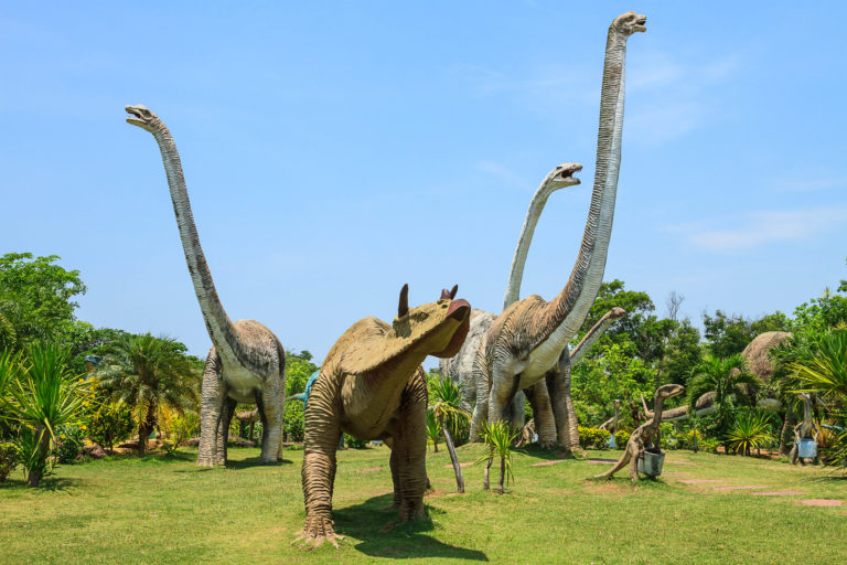 Dinosaur