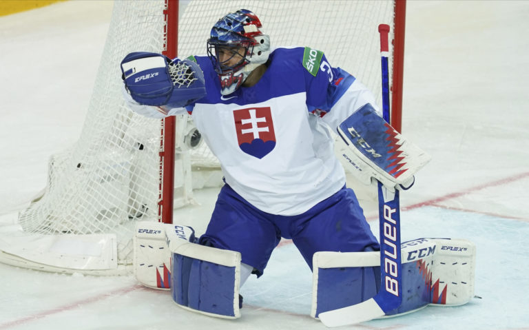 Július Hudáček, slovenský brankár