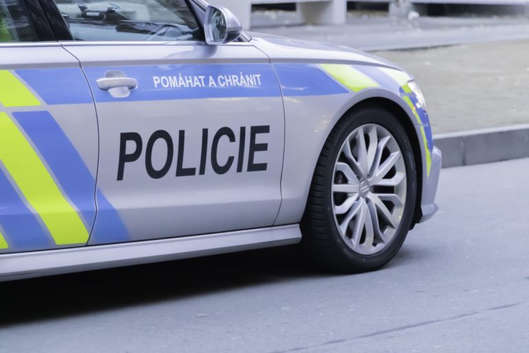 Polícia, Česko